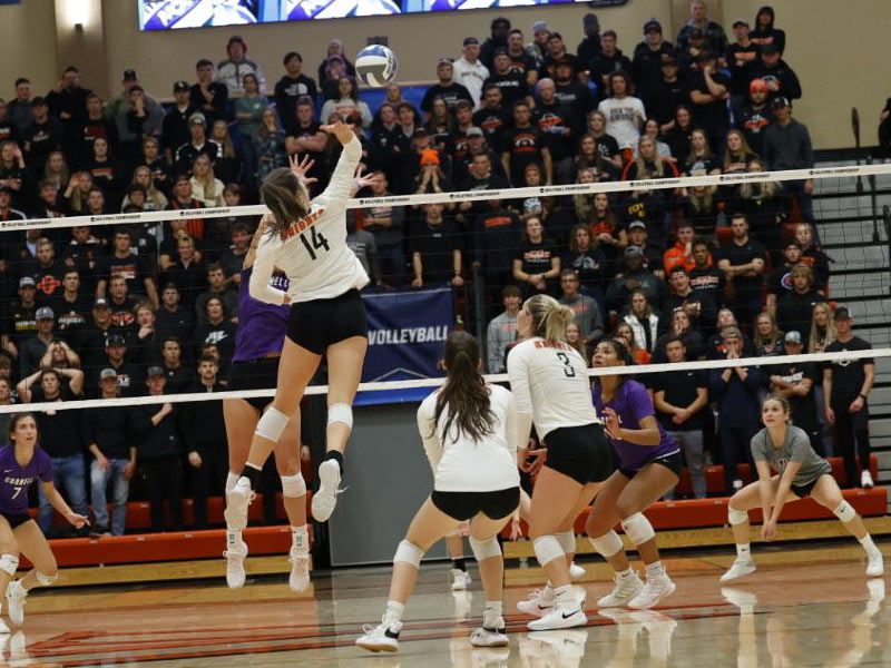 Wartburg Volleyball